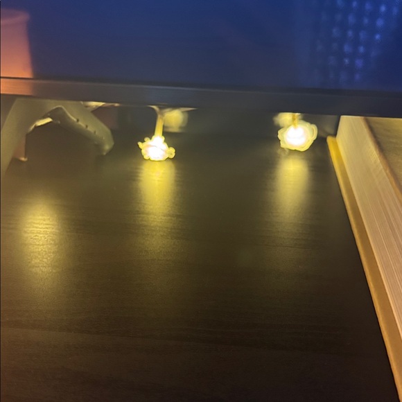 Rose String Lights - Picture 4 of 4